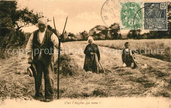 Landwirtschaft Normandie