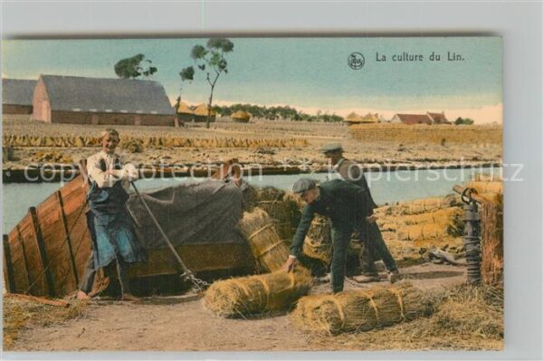 Ernte Landwirtschaft Culture du Lin Mise en Ballon