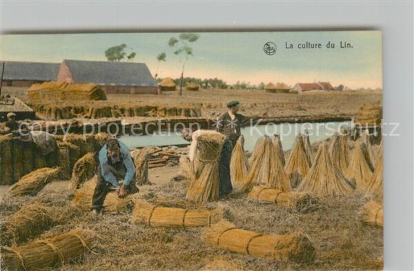 Ernte Landwirtschaft Culture du Lin Forme les Bottes avant l