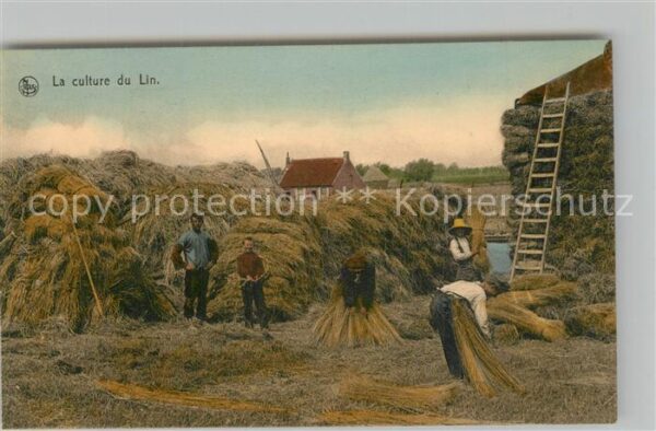 Ernte Landwirtschaft Culture du Lin Entassement