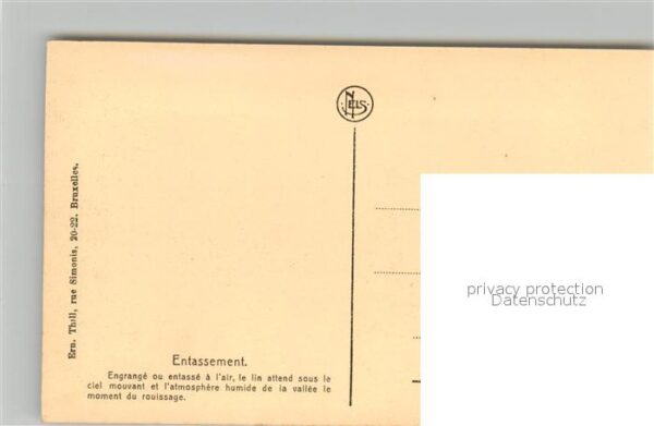 Ernte Landwirtschaft Culture du Lin Entassement – Bild 2