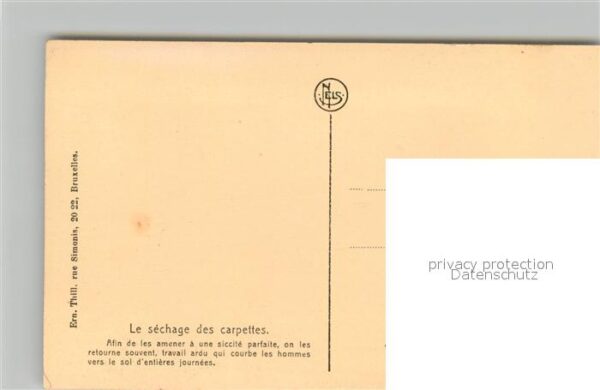 Ernte Landwirtschaft Culture du Lin Sechage des Carpettes – Bild 2