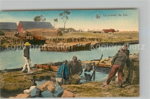 Ernte Landwirtschaft Culture du Lin Enleve des Ballons