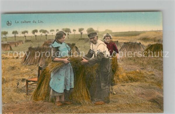 Ernte Landwirtschaft Culture du Lin Chaine