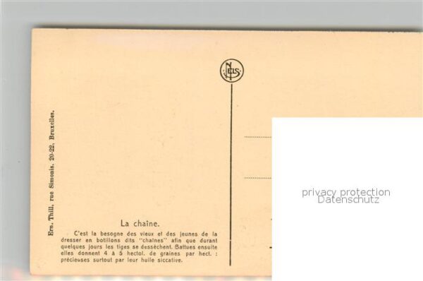 Ernte Landwirtschaft Culture du Lin Chaine – Bild 2