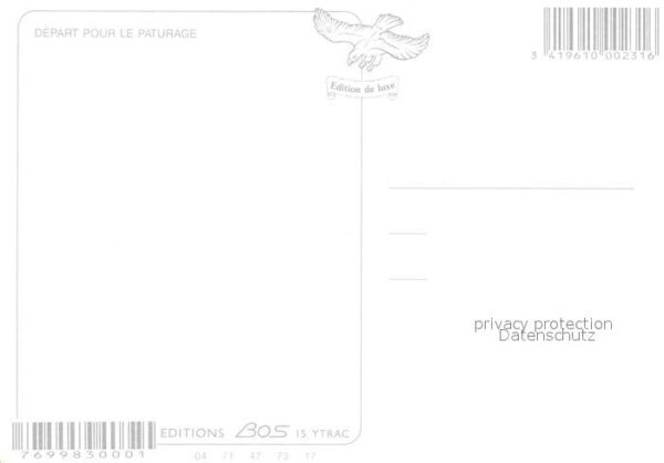 Schafe Paturage France – Bild 2