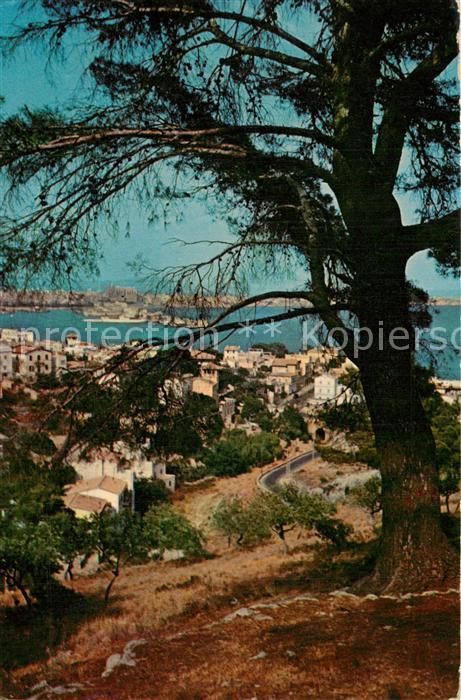 Palma de Mallorca Vista parcial