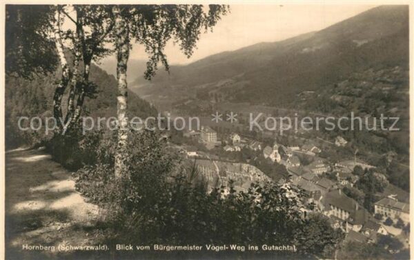 Hornberg Schwarzwald Gutachtal