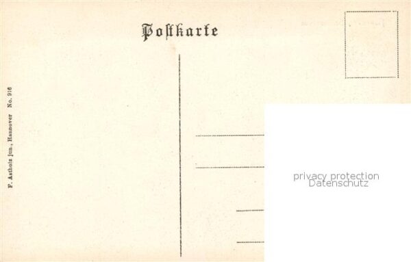 Hannover Sachsenross – Bild 2