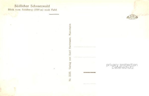 Fahl Feldberg Blick vom Feldberg – Bild 2