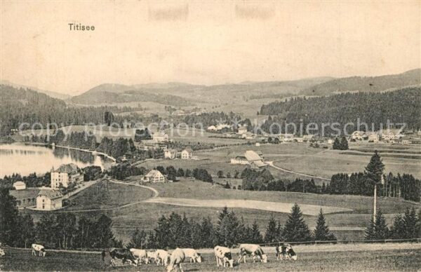 Titisee See K?he