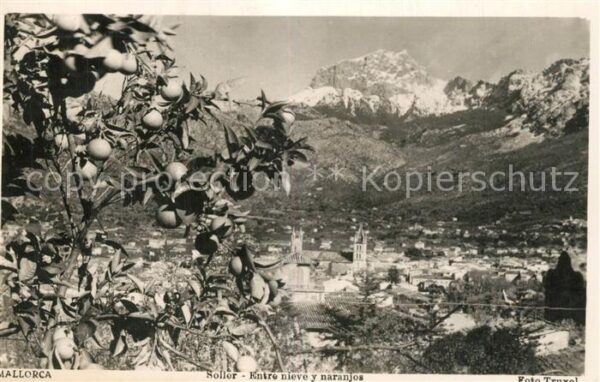 Soller Mallorca Nieve y naranjos