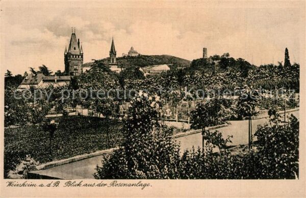 Weinheim Bergstrasse Blick aus der Rosenanlage