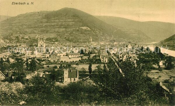 Eberbach Neckar Stadtpanorama