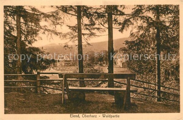 Elend Harz Waldpartie Ruhebank