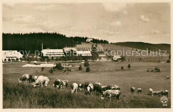 Feldberg Schwarzwald Hotel Feldbergerhof Viehweiden Kühne La