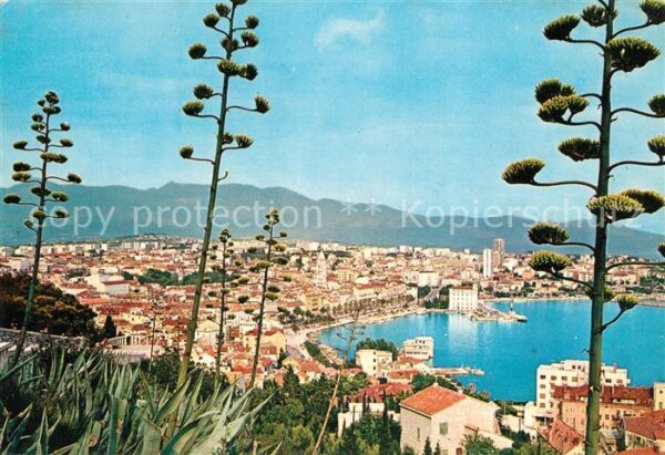 Split Spalato Stadtpanorama Hafen