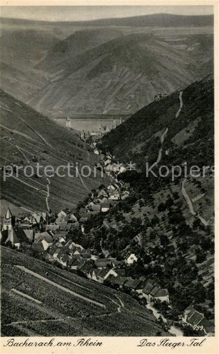 Bacharach Rhein Panorama Steeger Tal