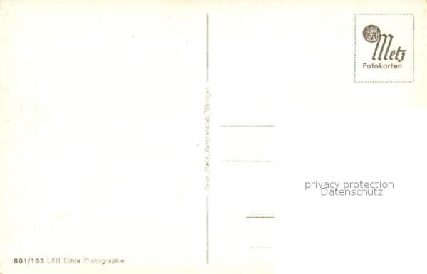 Zweibruecken Pfalz Rosengarten – Bild 2