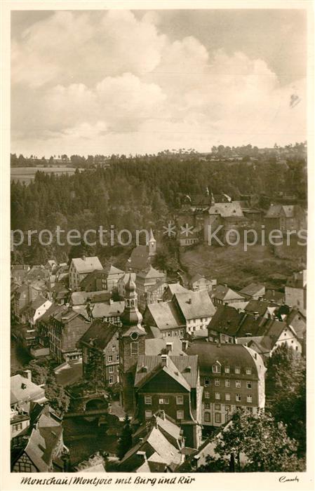 Monschau Stadtbild mit Burg und Rur