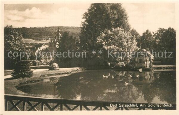 Bad Salzschlirf Goldfischteich