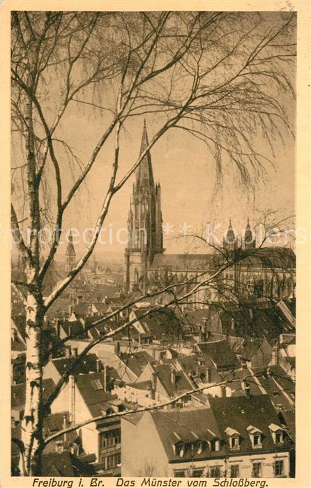 Freiburg Breisgau Münster vom Schlossberg gesehen