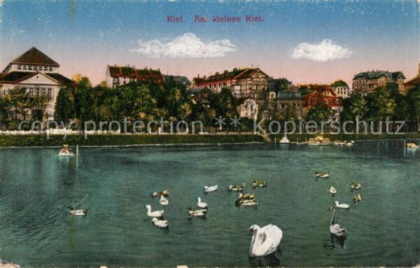 Kiel Am kleinen Kiel Schwäne