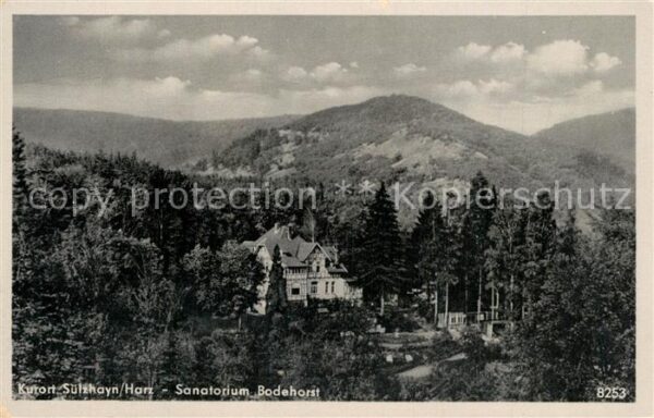 Suelzhayn Sanatorium Bodehorst Landschaftspanoram
