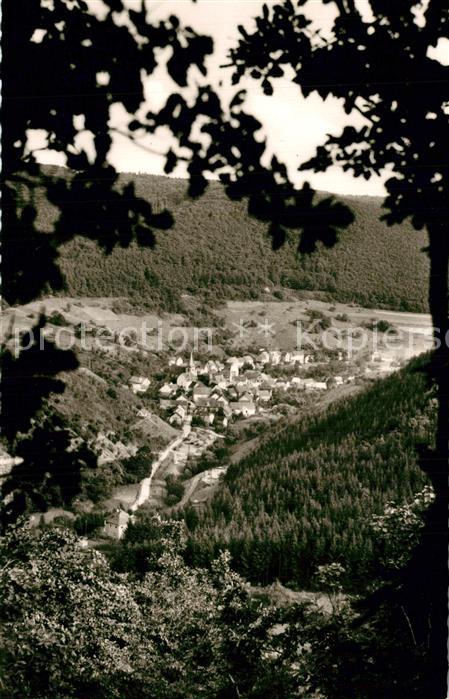 Luetz Luetzbachtal Lützbachtal Panorama