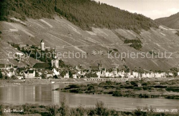 Zell Mosel Panorama