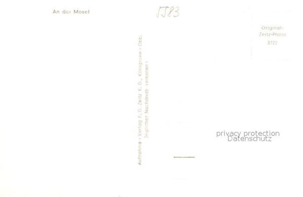 Zell Mosel Panorama – Bild 2