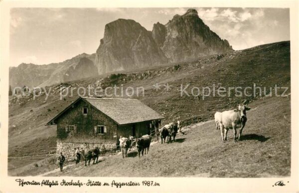 Pfronten Hochalp-H?tte mit Aggenstein