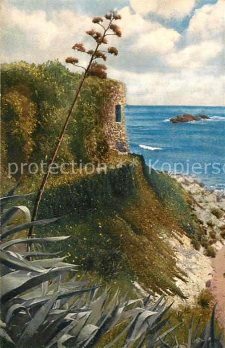 La Mortola Riviera di Ponente