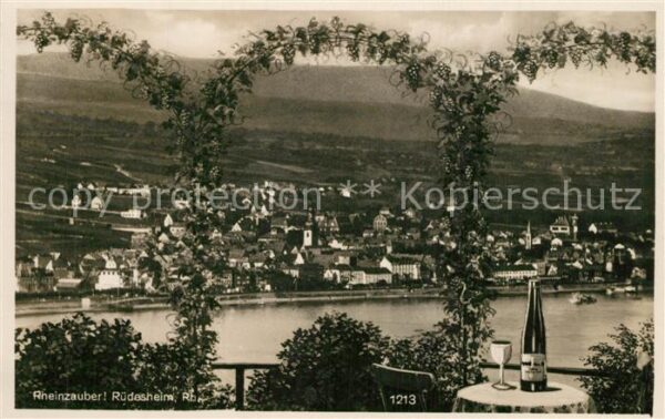 Ruedesheim Rhein Panorama