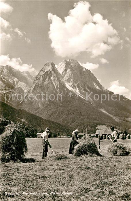 Ernte Landwirtschaft Heuernte Garmisch-Partenkirchen Waxenst