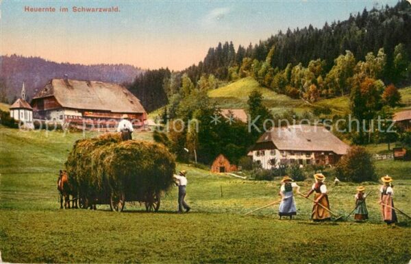 Ernte Landwirtschaft Heuernte Schwarzwald