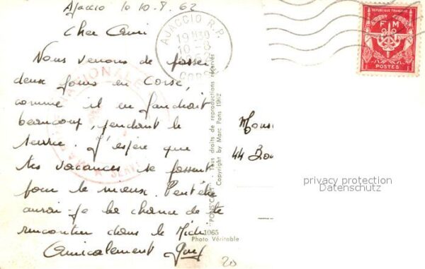 Esel Tiere Ajaccio – Bild 2