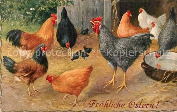 Ostern Easter Paques H?hner Hahn
