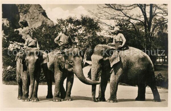 Hagenbeck Tierpark Stellingen-Hamburg Indische El