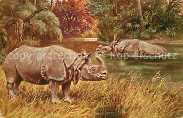 Nashorn
