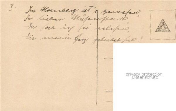 Foto Amag Nr. 62076/1 Heckenrosenlied – Bild 2