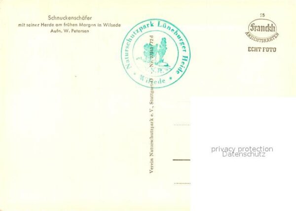 Schafe Schnuckensch?fer Wilsede – Bild 2