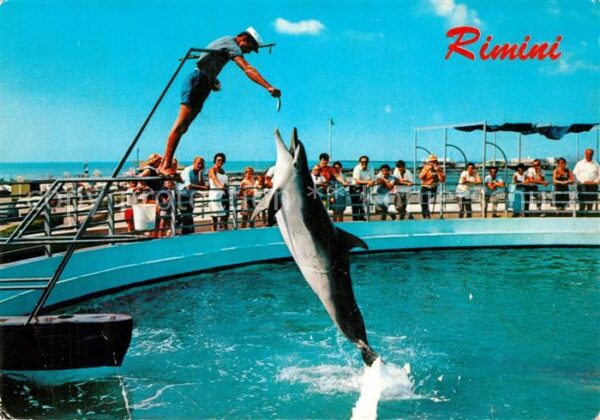 Rimini Aquarium Delphin Show