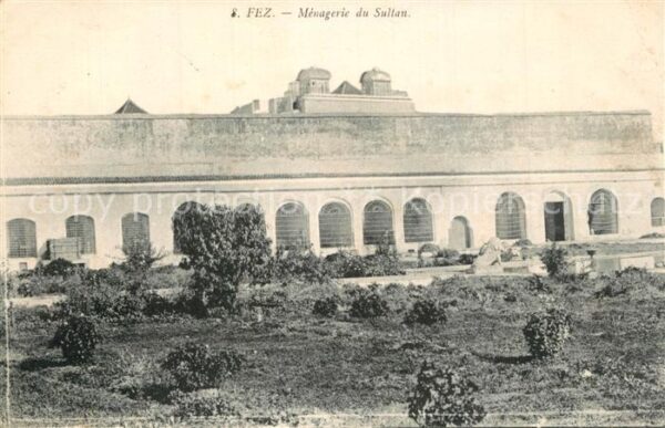Fes Fez Maroc Ménagerie du Sultan