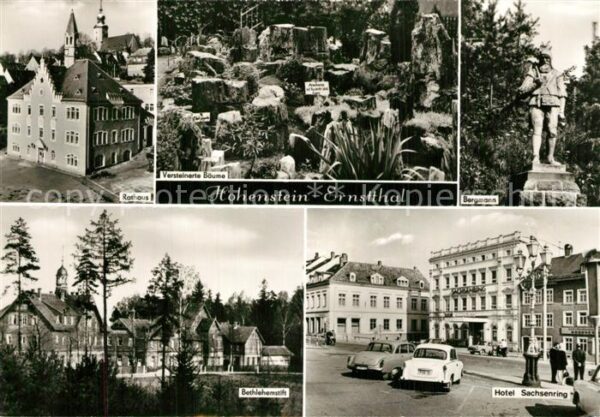 Hohenstein-Ernstthal Rathaus Versteinerte Bäume Bergmann Sta