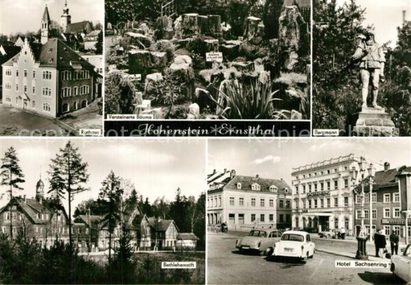 Hohenstein-Ernstthal Rathaus Versteinerte Bäume Bergmann Sta