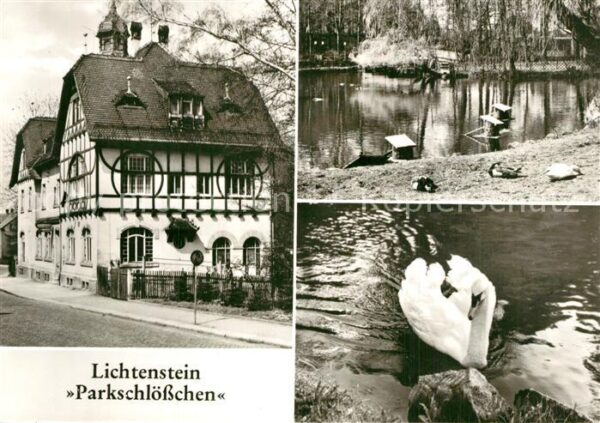 Lichtenstein Hohenstein-Ernstthal Parkschlösschen Schwanenteich Schwan