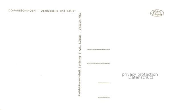 Donaueschingen Donauquelle Schlo – Bild 2
