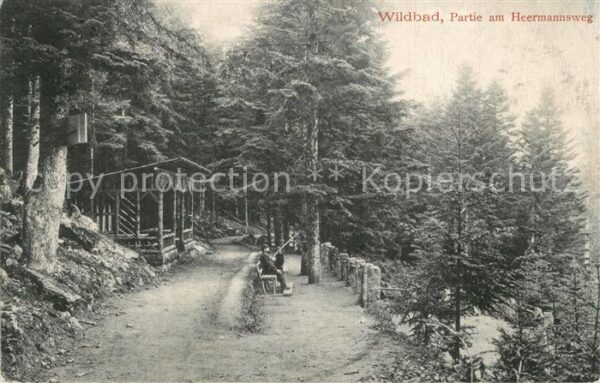 Wildbad Schwarzwald am Heermannsweg