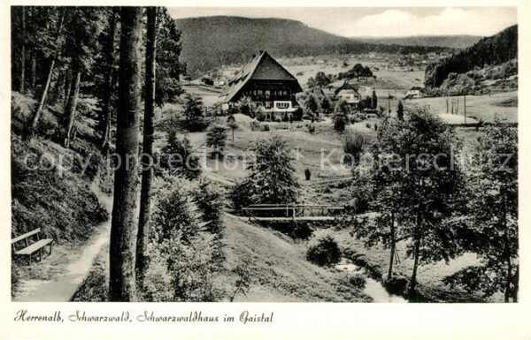 Bad Herrenalb Schwarzwaldhaus im Gaistal